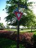 Custom Yield Sign